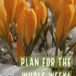 PIN for Weekly Menu 03.17.19