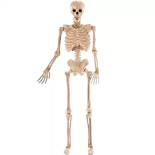 JOYIN Halloween 4.9 FT Skeleton Full Body Posable Joints Realistic Human Plastic Bones for Halloween Indoor Outdoor Spooky Scene Party Favors