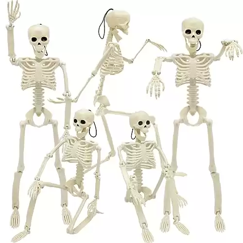 5 Packs Halloween Skeleton Decorations, 16" Halloween Full Body Mini Skeleton with Movable Posable Joints, Spooky Plastic Skeleton for Yard Garden Lawn Haunted House Graveyard Props Decor